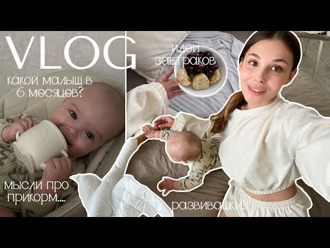 Видео: ВЛОГ 🍼 малыш в 6 месяцев | идеи завтраков | развивашки до года | пьем из стакана😍 | домашний влог