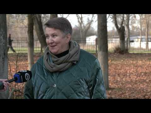 Видео: В Старобине началось создание культурного пространства в парке «Случь»