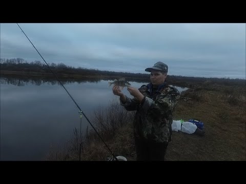 Видео: Рыбалка на  р. Луга.  Осень . Ноябрь. 2022 г.