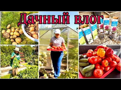 Видео: Давайте жить дружно / Выживут или нет / Кто это делает🤔