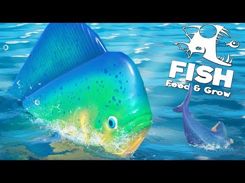 Видео: НОВАЯ ОБНОВЛЕННАЯ МАХИ-МАХИ, ОБНОВЛЕНИЕ! | Feed and Grow Fish
