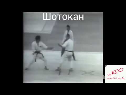 Видео: Старое каратэ было лучше ?