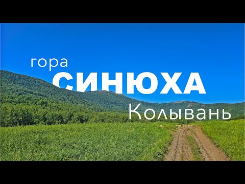 Видео: Седьмой подъем на Синюху в Колывани ⛰️ @akolyakin