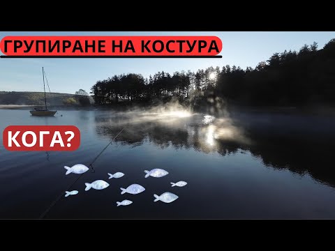 Видео: В ОЧАКВАНЕ НА ГРУПИРАНЕТО СЪМ