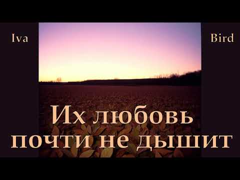Видео: 🎧 Iva Bird  -  Их любовь почти не дышит. Оригинальный микс 2025.