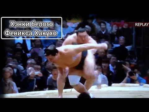 Видео: Лучшие Хэнки белого Феникса Хакухо Сумо на русском 2025 (Темная сторона Белого Феникса Хакухо)