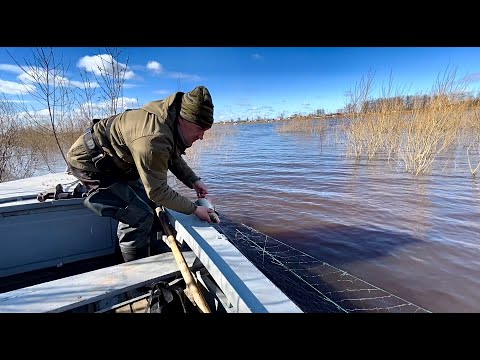 Видео: Рыба «кишит» в сетях. Последние дни весенней охоты. Ответы на вопросы подписчиков.
