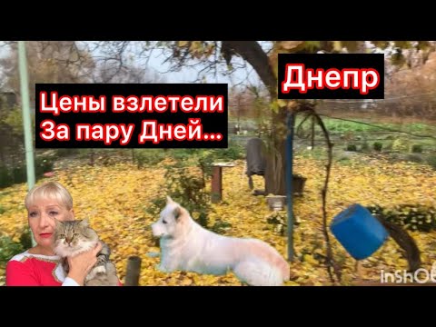 Видео: ХОЛОДНОЕ,ТЕМНОЕ УТРО!ЦЕНЫ ВВЕРХ‼️В ДУШЕ СВЕТЛЫЙ ОГОНЬ НАДЕЖДЫ!НЕ СДАЕМСЯ! ДОРОГИЕ🙏💋🌹