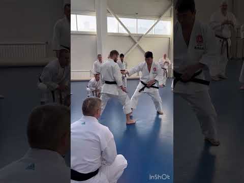 Видео: Гашуку январь 2024 день 2