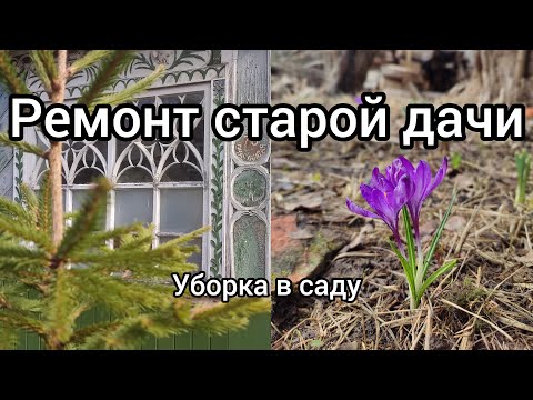 Видео: Ремонт старой дачи. Убираем участок, сажаем цветы, обрабатываем деревья. Серия 15