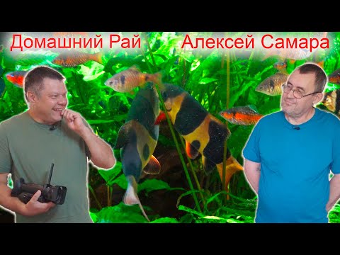 Видео: Домашний рай