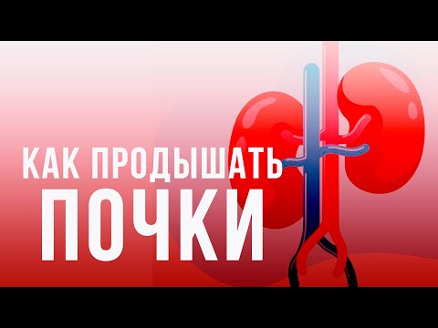 Видео: Почки отвечают за разумность в человеке. Как продышать почки. К.Перо  Академия Целителей.