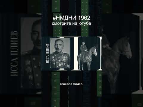 Видео: 11 ноября 2024 г.