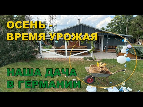 Видео: Осень: Пополнение в семье. Скоро будем дедами. Готовимся к BabyParty. Сбор картошки.