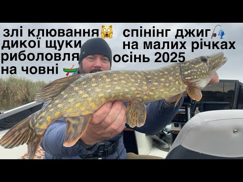 Видео: ✅ Ловля чисто диких щук на малих річках, риболовля на спінінг🎣 джиг з човна, злі клювання🙀осінь 2025