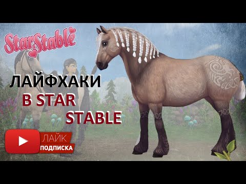 Видео: Лайфхаки в Star Stable Online | Духовная езда в Друидском загоне