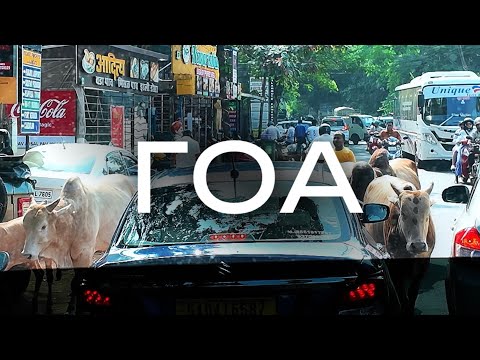 Видео: Совсем другой Гоа, отдых в горах и диких джунглях, отель Дикое Гнездо Wildernest Nature Resort Goa