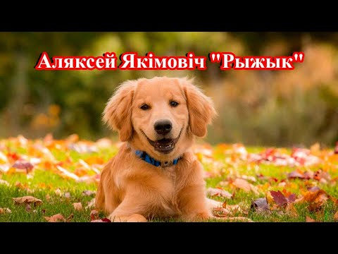 Видео: Рыжык Алесь Якімовіч. Пазакласнае чытанне 5 клас