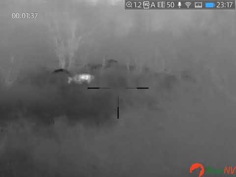 Видео: Взял матёрого волка.