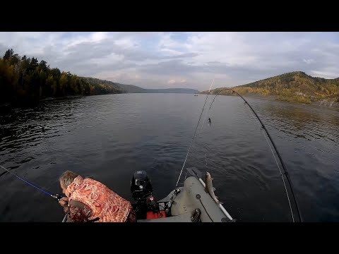 Видео: Рыбалка на хариуса, Енисей, Шивера. Удачное закрытие сезона.