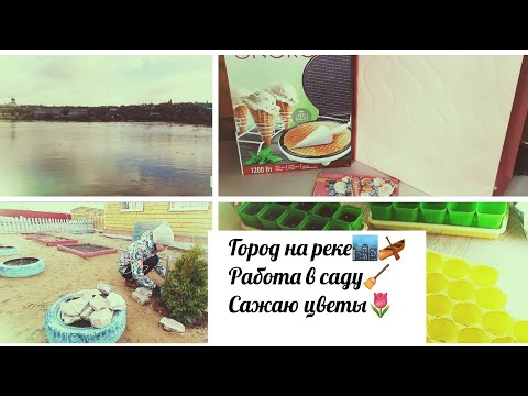 Видео: Приехала в деревню 🚘.Сажаю цветы🌷Уборка в цветнике🧹.Прогулка с 🐕.
