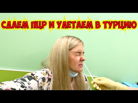 Видео: СДАЕМ ПЦР И УЛЕТАЕМ В ТУРЦИЮ