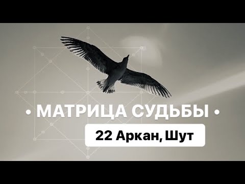 Видео: 22 Аркан, ШУТ, МАТРИЦА СУДЬБЫ