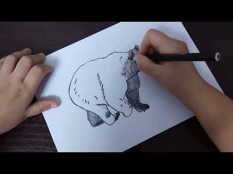 Видео: АСМР рисую Медведь 🐻 Истории из жизни. Поболтаем перед сном. Видео и звуки для сна. Шепот, мурашки.