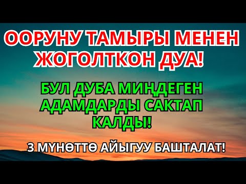 Видео: Пайгамбардын дубасы ооруларды көз ирмемде жок кылып, толук айыктырат