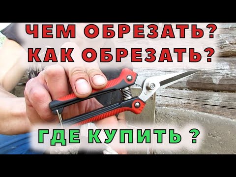 Видео: Ножницы для обрезки копыт