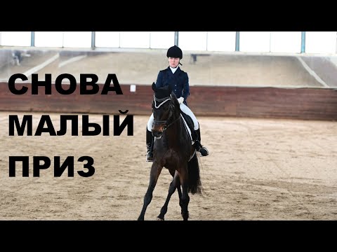 Видео: СНОВА МАЛЫЙ ПРИЗ