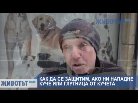 Видео: Как да се защитим, ако ни нападне куче или глутница