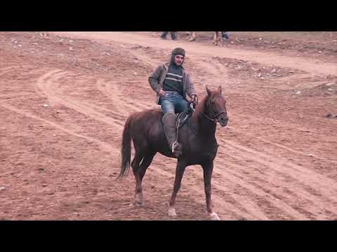 Видео: Фармон пахлавон,  Шер Пахлавон, Имом пахлавон. Ки зур партофт???