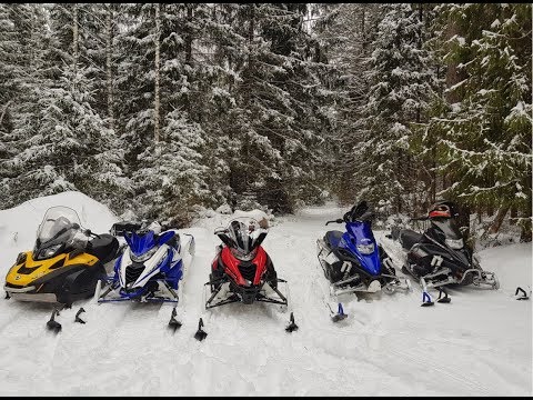 Видео: Покатушки на снегоходах Yamaha Nytro, Viper, Ski Doo Tundra
