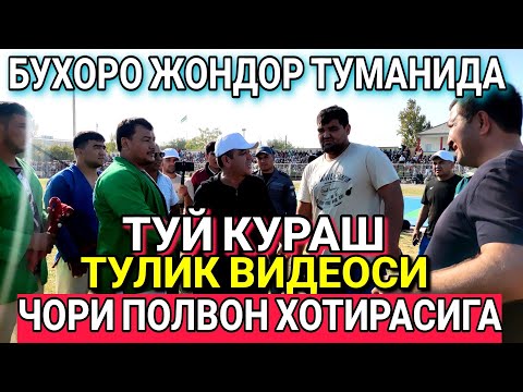 Видео: BUXORO JONDOR/ЧОРИ ПОЛВОН ХОТИРАСИ...ТУЙ КУРАШ ТУЛИК ВИДЕОСИ/JONDOR UZ