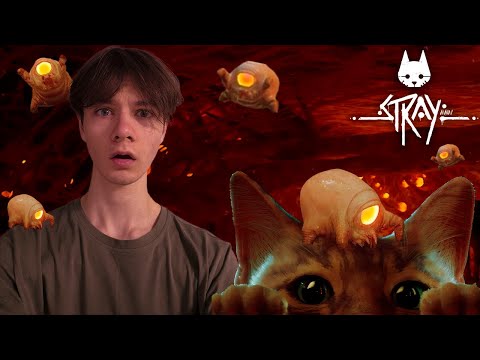 Видео: ВСТРЕЧА С АРМИЕЙ ЗУРКОВ - Stray #3