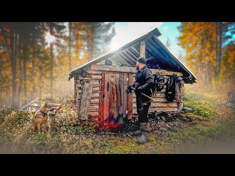 Видео: СТАРАЯ ТАЁЖНАЯ ИЗБА ЕЩЁ ПОЖИВЁТ. ТАЁЖНЫЙ БЫТ. ЭТОЙ ИЗБЕ МНОГО ЛЕТ. УБИРАЕМСЯ В ИЗБЕ.