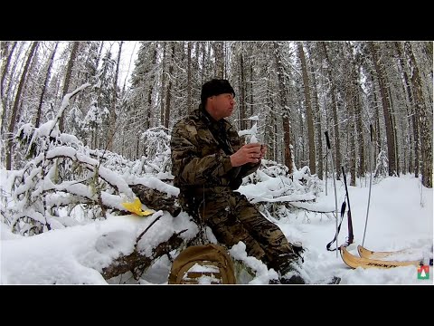 Видео: Закрытие охотсезона 29.02.2020