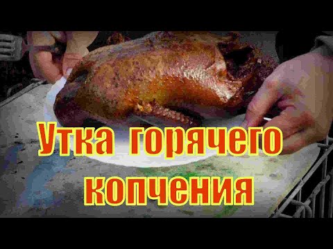 Видео: Варено копченая утка.
