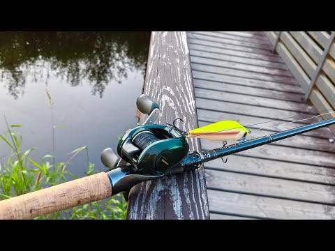 Видео: 18 июля 2025 г.