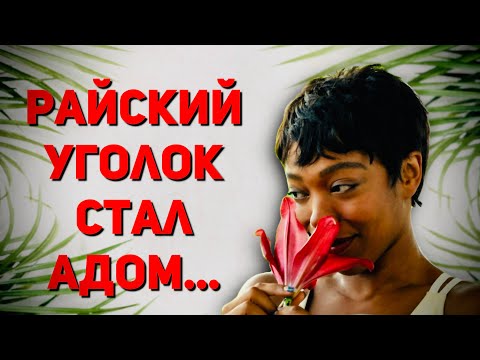 Видео: 🌴🍹ПОДАЙ ЗНАК📷🌺  - ЖУТКАЯ ВЕЧЕРИНКА В стиле Пи Дидди