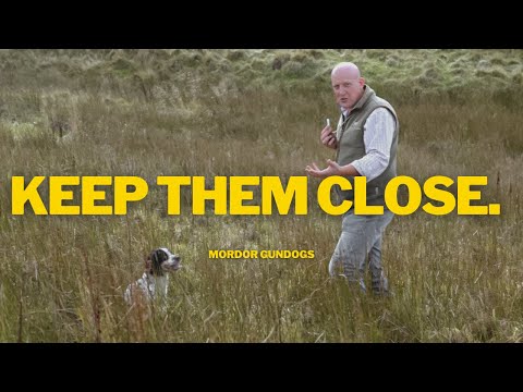 Видео: Как держать собаку рядом с собой во время Охоты