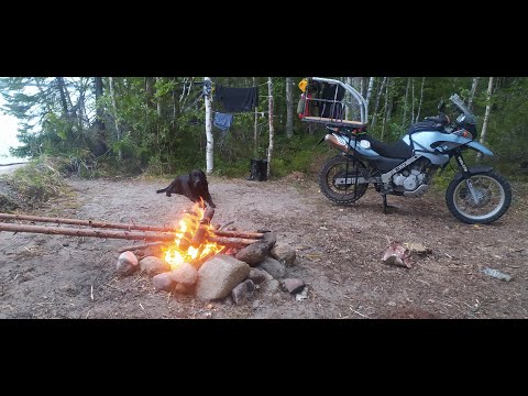 Видео: Мото-пёс. Карельский прохват.