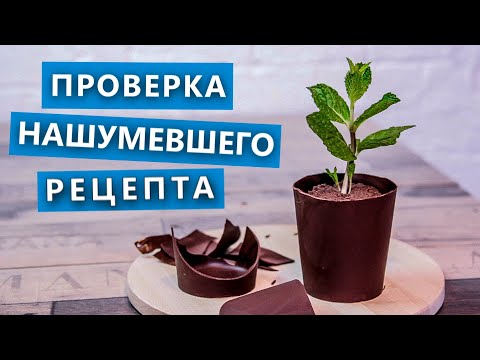 Видео: Проверка нашумевшего рецепта из интернета. Шоколадные стаканчики. Любимый мамин цветок.