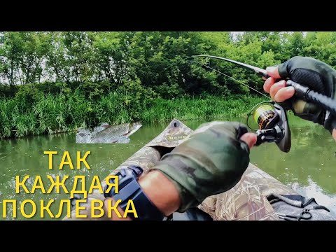 Видео: РЫБА ВЫЛЕТАЕТ ИЗ ВОДЫ НА КАЖДОМ ЗАБРОСЕ!!! Рыбалка сплавом на каноэ! #рыбалка #голавль #спиннинг