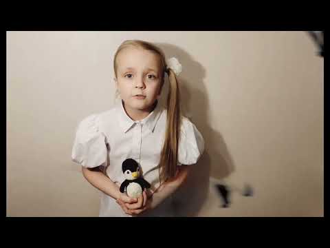 Видео: Усольцева Дарья город Омск Школа 40