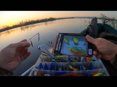 Видео: Рыбалка на спиннинг 21.07.2022. Шапсугское вдхр. На какой спиннербейт будет клевать лучше?