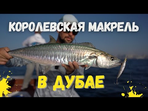 Видео: Рыбалка на Спиннинг в Дубае с Яхты: Ловля Королевской Макрели