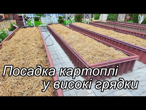 Видео: Посадка картоплі у високі грядки