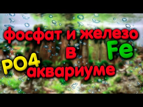 Видео: Фосфат и железо в аквариуме. Ксенококус и хлороз аквариумных растений.